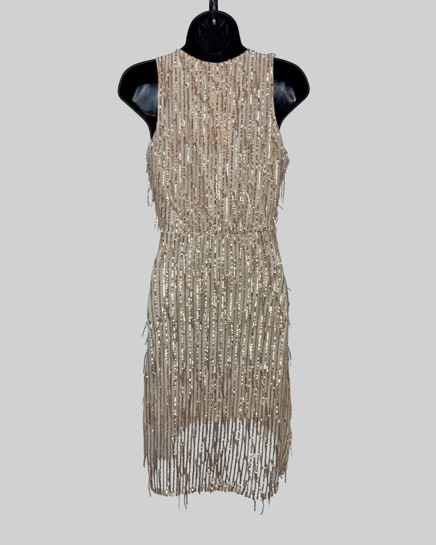 New Collection Rose Gold Sequin Stripe & Fringe V-Neck Sleeveless Mini Dress