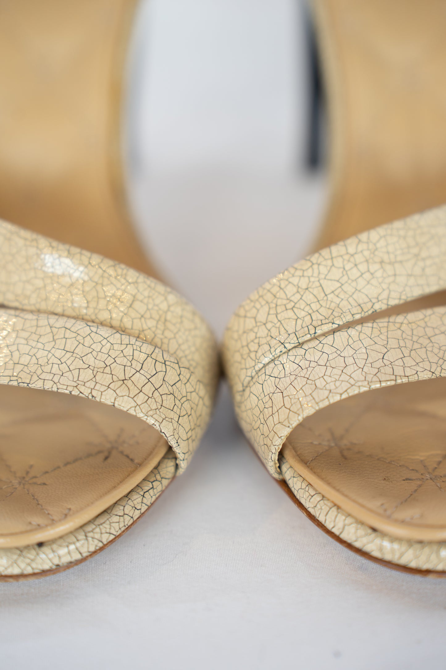 DUSTBAG - Chanel Double Toe Strap/Ankle Strap Heeled Sandals SIZE 7