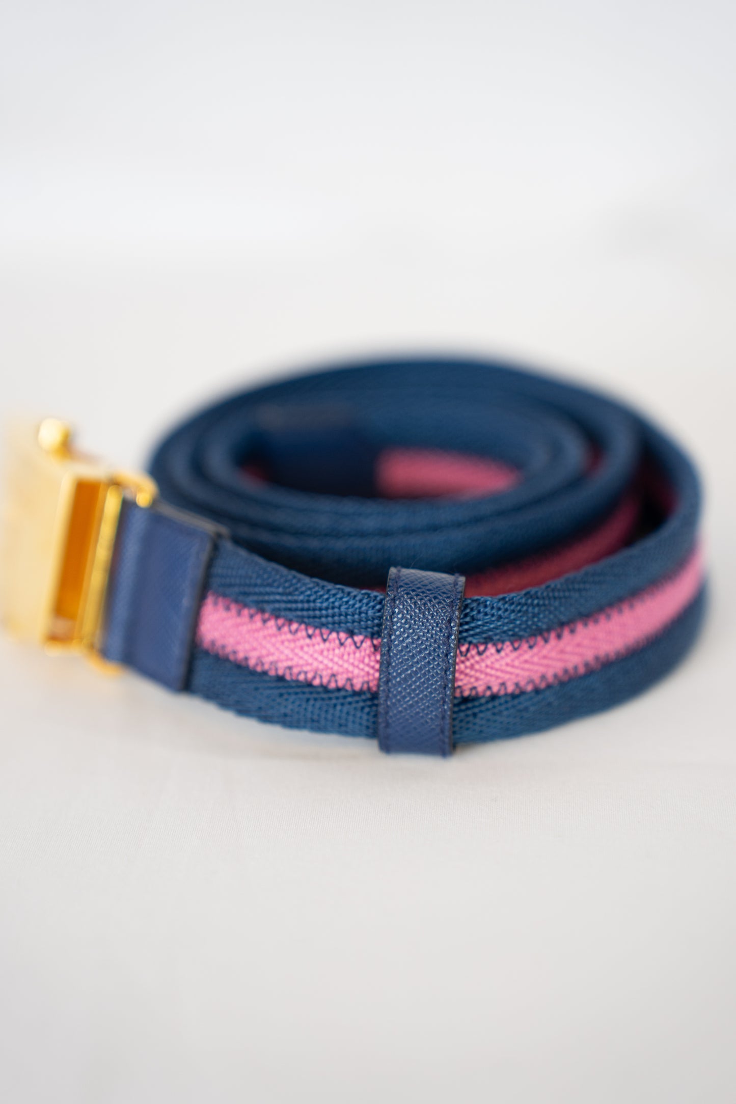 Prada Canvas Blue & Pink Stripe Skinny Belt w Gold Clasp Closure Buckle