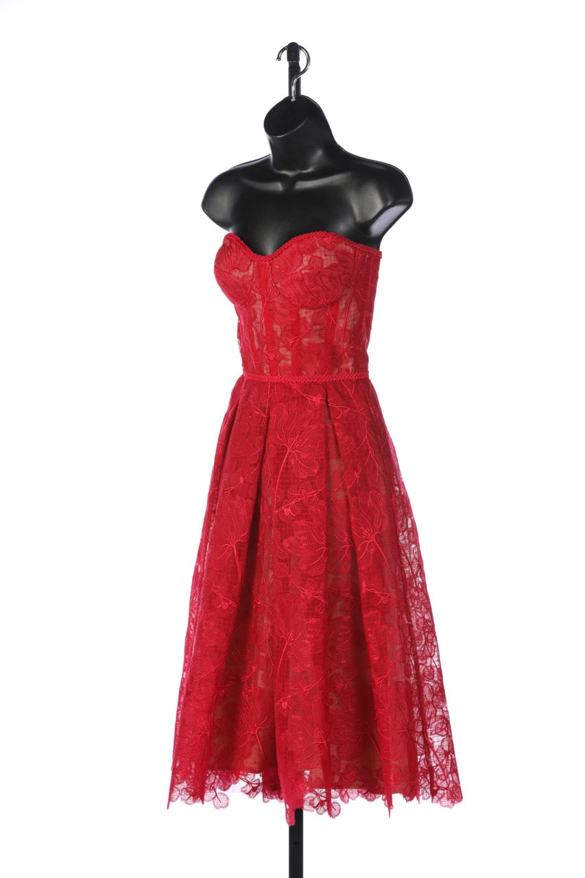 COMES W BOX - Nadine Merabi Red Floral Lace Strapless Corset Top/Pleated Skirt Knee-Length Dress