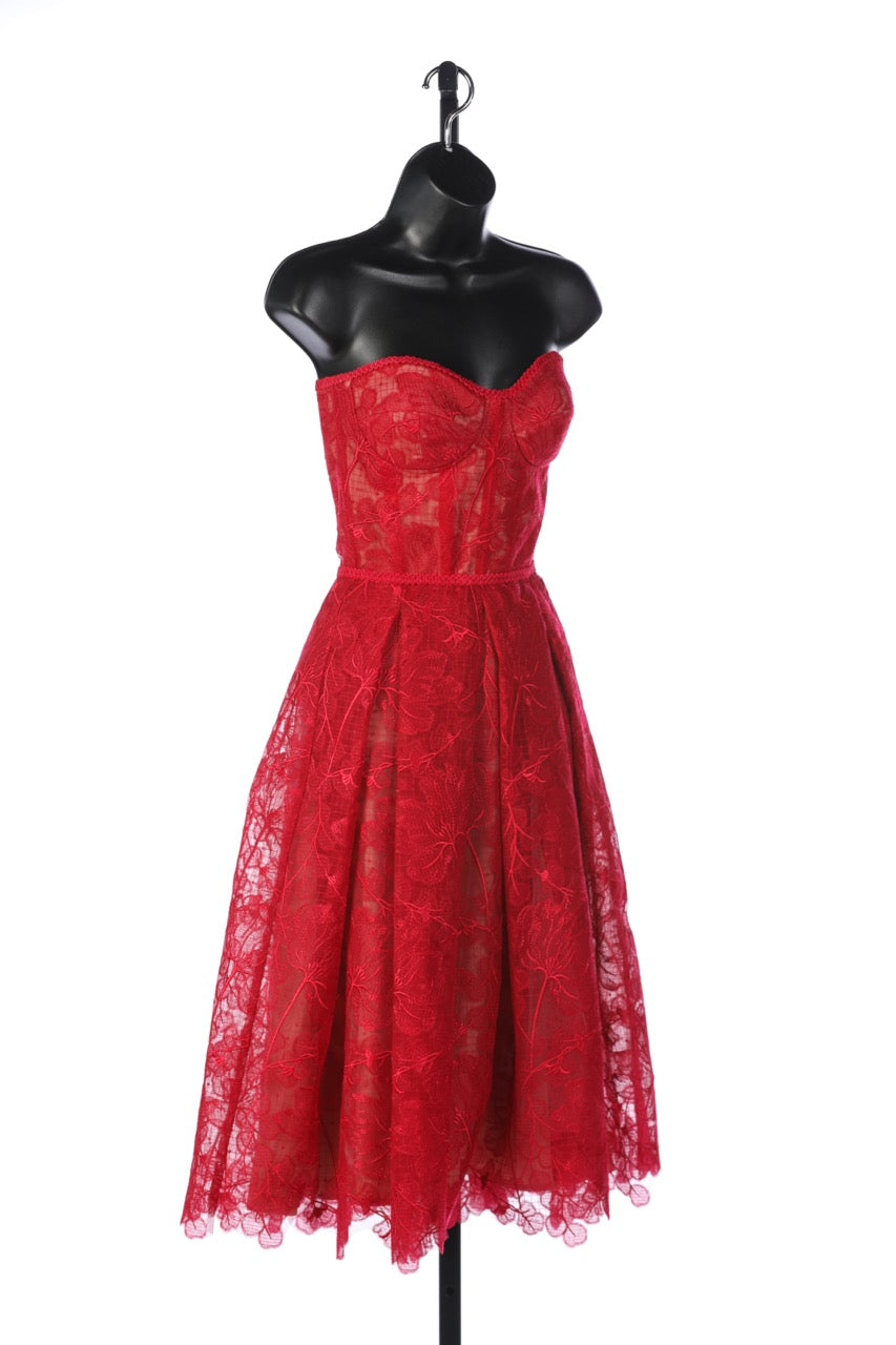 COMES W BOX - Nadine Merabi Red Floral Lace Strapless Corset Top/Pleated Skirt Knee-Length Dress