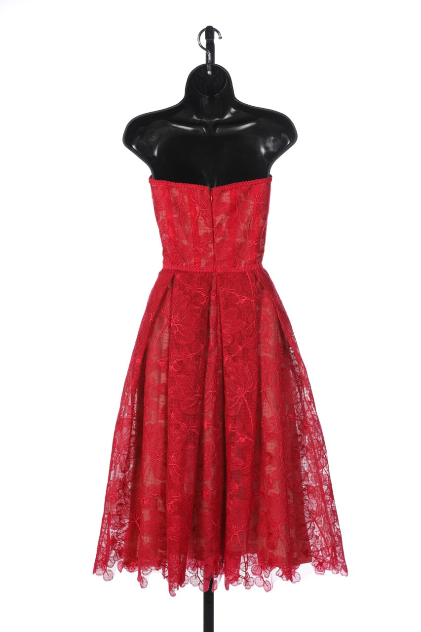 COMES W BOX - Nadine Merabi Red Floral Lace Strapless Corset Top/Pleated Skirt Knee-Length Dress