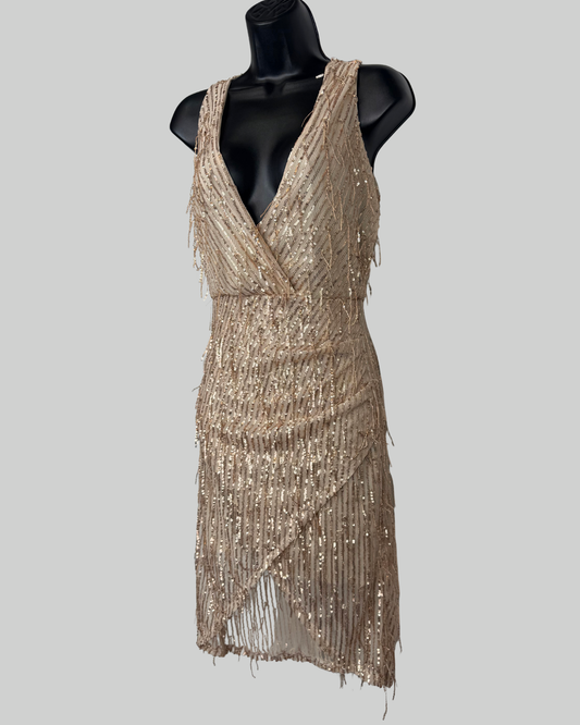 New Collection Rose Gold Sequin Stripe & Fringe V-Neck Sleeveless Mini Dress