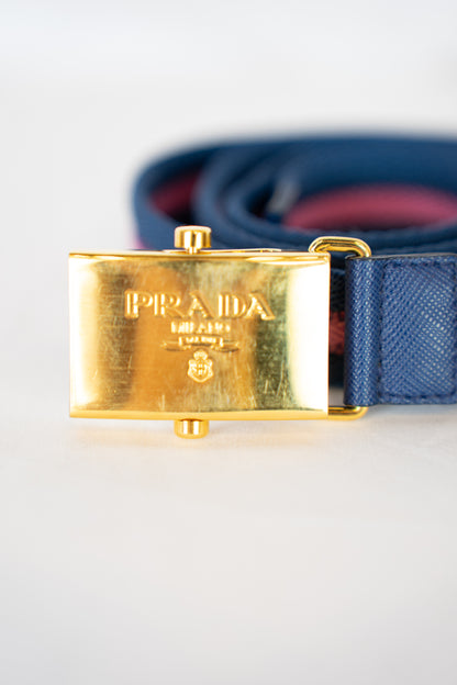 Prada Canvas Blue & Pink Stripe Skinny Belt w Gold Clasp Closure Buckle