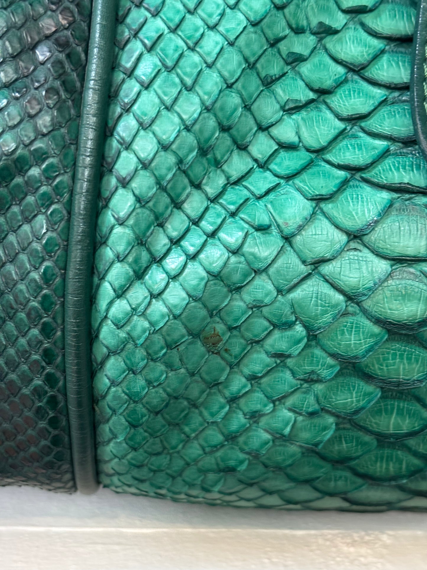 Chloe Green Python and Leather Shoulder Bag