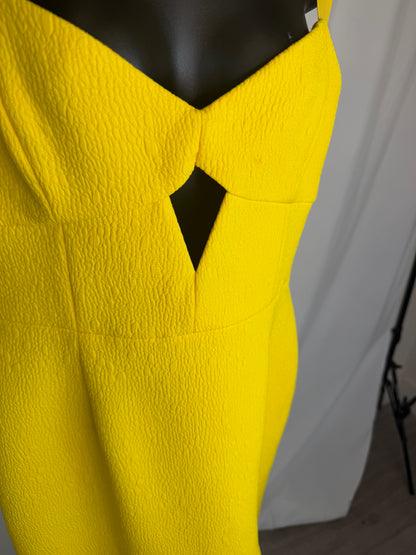 Rebecca Vallance Yellow Sleeveless Textured Dress