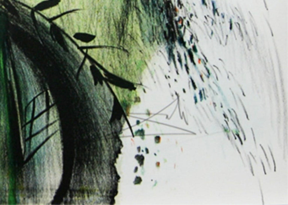 SALVADOR DALI - "Les Fleurs et les Fruits" Signed Lithograph on Arches (#1/250)
