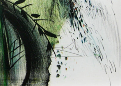 SALVADOR DALI - "Les Fleurs et les Fruits" Signed Lithograph on Arches (#1/250)