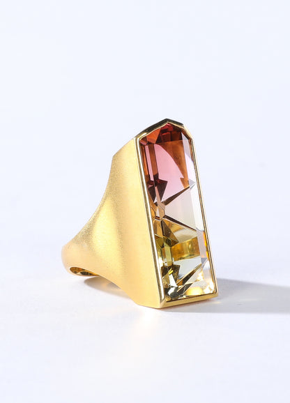 Watermelon Tourmaline 18K Gold Rectangular Ring